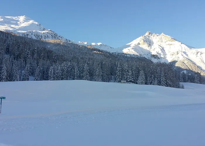 Hotel Al Rom Hotel 3*