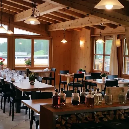 Hotel Al Rom Tschierv